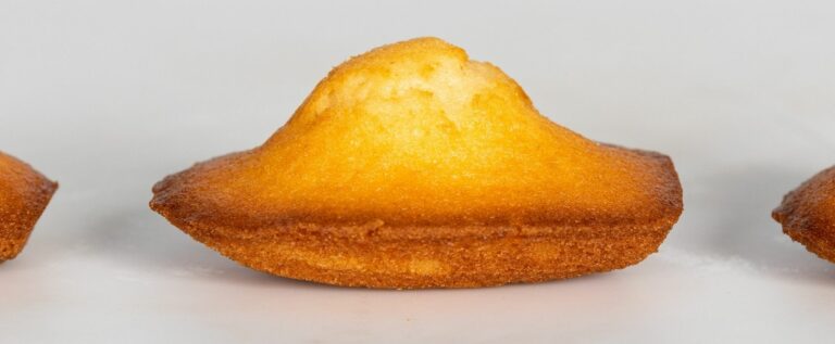 madeleine 1600.600