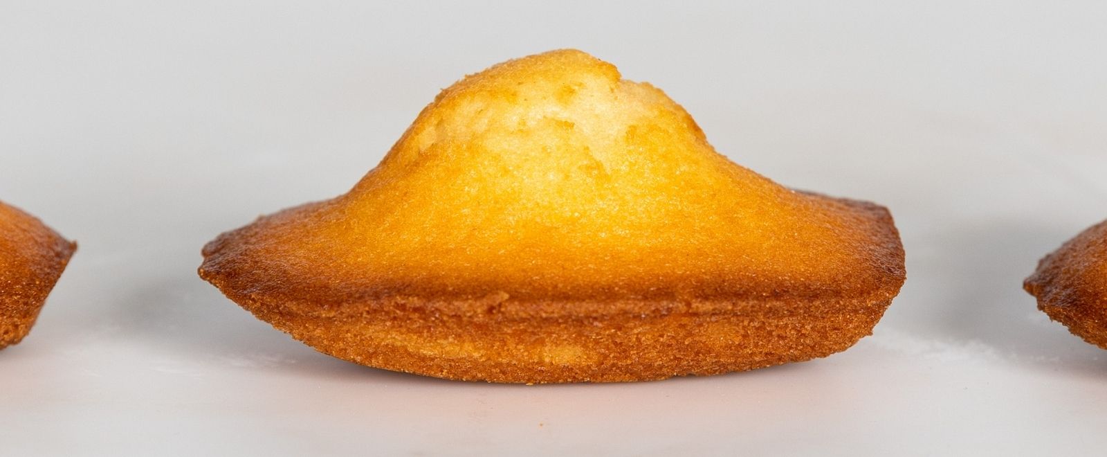 madeleine 1600.600